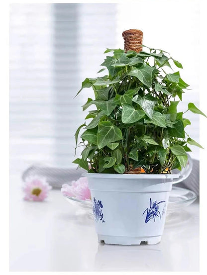 植物支柱 モンステラ 支柱 鉢植え 園芸 園芸支柱 観葉支柱 ココスティック植物 つる性植物 蔓 農具 高さ調整可能 植物サポート ポトス 花ささえ 連結 延長 木製 ガーデニング ガーデニング用支柱 フラワースタンド 頑丈 耐久