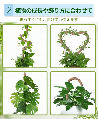 観葉植物 支柱 園芸支柱 曲げられる ココスティック モンステラ支柱 モンステラ 園芸用 植物 ココナッツ支柱 つる性植物 植物サポート ヘゴ支柱 ココナッツ 園芸支柱パーツ フラワースタンド  2本入り ポトス モスポール