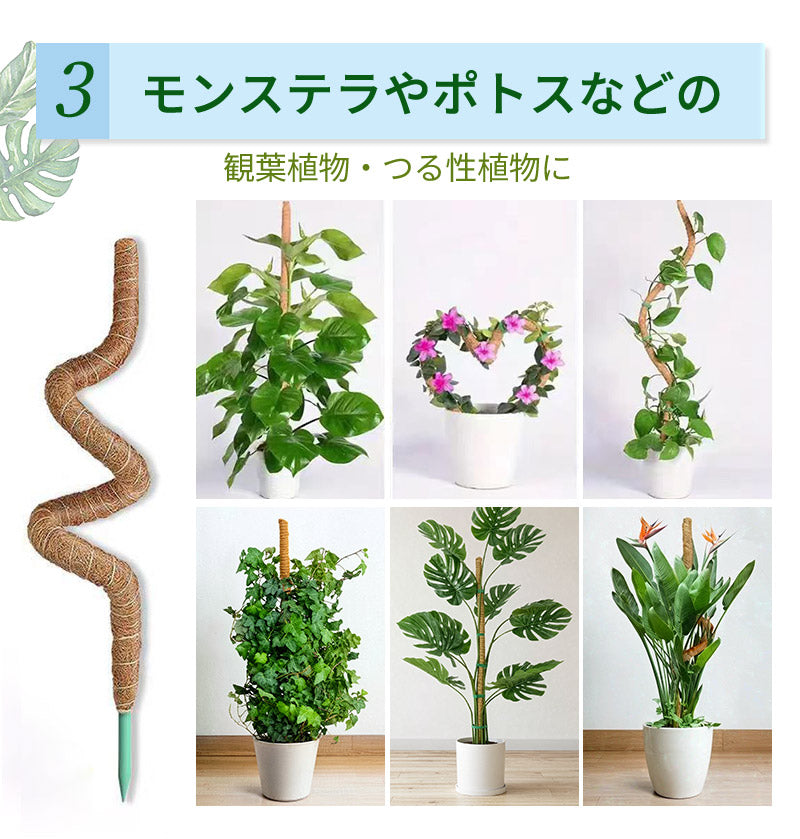 観葉植物 支柱 園芸支柱 曲げられる ココスティック モンステラ支柱 モンステラ 園芸用 植物 ココナッツ支柱 つる性植物 植物サポート ヘゴ支柱 ココナッツ 園芸支柱パーツ フラワースタンド  2本入り ポトス モスポール