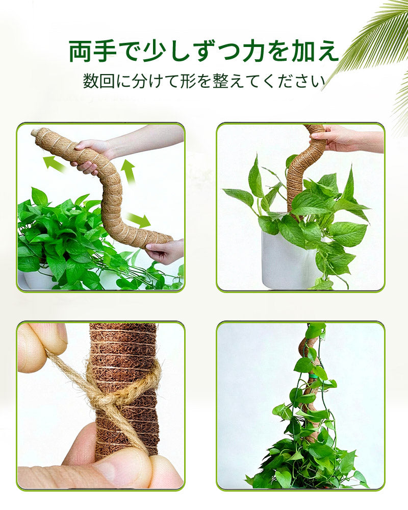 観葉植物 支柱 園芸支柱 曲げられる ココスティック モンステラ支柱 モンステラ 園芸用 植物 ココナッツ支柱 つる性植物 植物サポート ヘゴ支柱 ココナッツ 園芸支柱パーツ フラワースタンド  2本入り ポトス モスポール