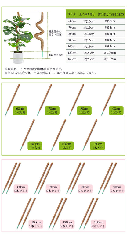 観葉植物 支柱 園芸支柱 曲げられる ココスティック モンステラ支柱 モンステラ 園芸用 植物 ココナッツ支柱 つる性植物 植物サポート ヘゴ支柱 ココナッツ 園芸支柱パーツ フラワースタンド  2本入り ポトス モスポール