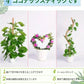 観葉植物 支柱 園芸支柱 曲げられる ココスティック モンステラ支柱 モンステラ 園芸用 植物 ココナッツ支柱 つる性植物 植物サポート ヘゴ支柱 ココナッツ 園芸支柱パーツ フラワースタンド  2本入り ポトス モスポール
