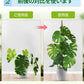 観葉植物 支柱 園芸支柱 曲げられる ココスティック モンステラ支柱 モンステラ 園芸用 植物 ココナッツ支柱 つる性植物 植物サポート ヘゴ支柱 ココナッツ 園芸支柱パーツ フラワースタンド 2本入り ポトス モスポール