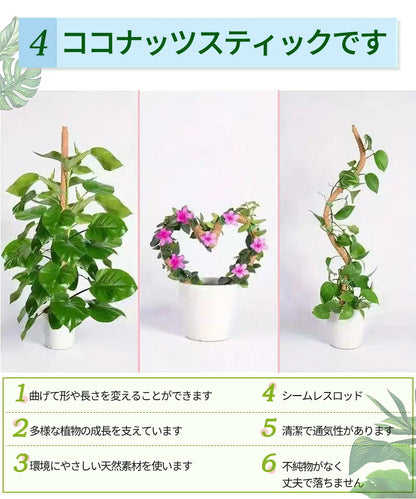 観葉植物 支柱 園芸支柱 曲げられる ココスティック モンステラ支柱 モンステラ 園芸用 植物 ココナッツ支柱 つる性植物 植物サポート ヘゴ支柱 ココナッツ 園芸支柱パーツ フラワースタンド 2本入り ポトス モスポール