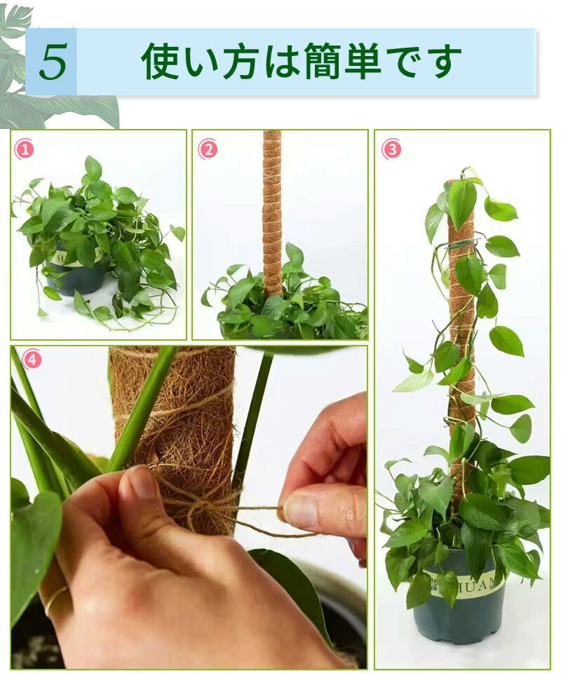 観葉植物 支柱 園芸支柱 曲げられる ココスティック モンステラ支柱 モンステラ 園芸用 植物 ココナッツ支柱 つる性植物 植物サポート ヘゴ支柱 ココナッツ 園芸支柱パーツ フラワースタンド 2本入り ポトス モスポール