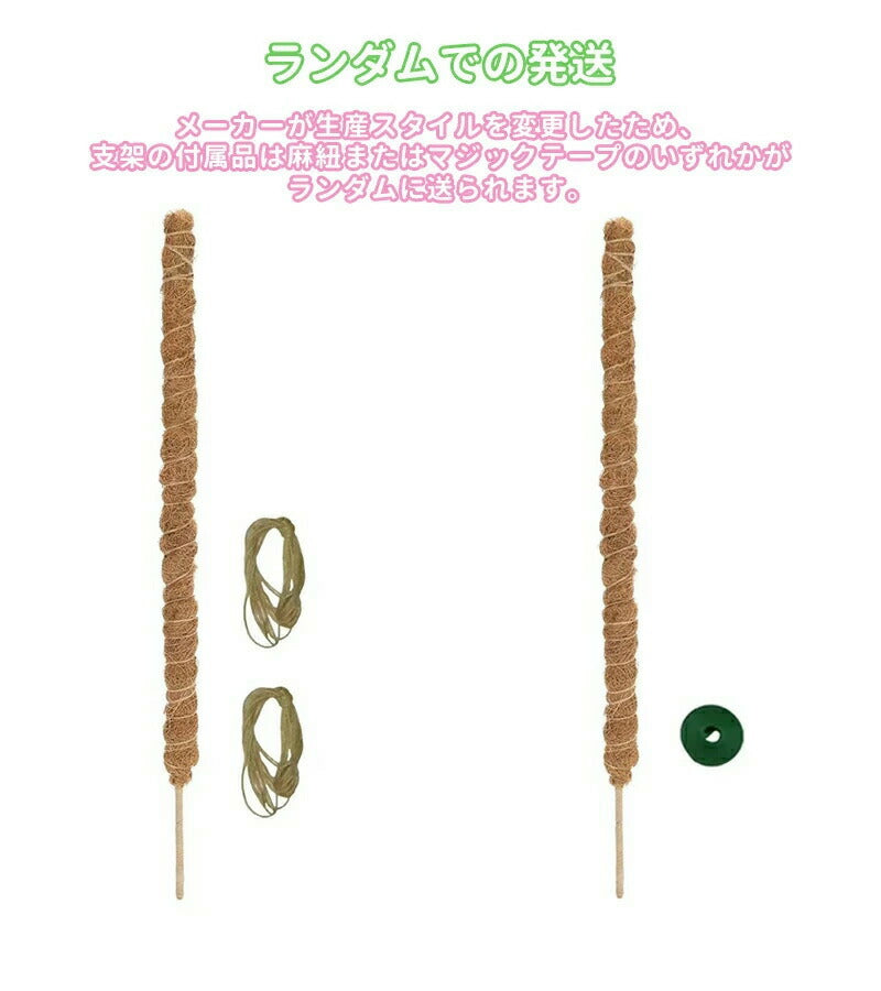 観葉植物 支柱 園芸支柱 曲げられる ココスティック モンステラ支柱 モンステラ 園芸用 植物 ココナッツ支柱 つる性植物 植物サポート ヘゴ支柱 ココナッツ 園芸支柱パーツ フラワースタンド 2本入り ポトス モスポール