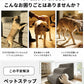 ドッグステップ ステップ 階段 犬 猫 クッション スロープ 2段 3段 4段 踏み台 ペットステップ ベッド用階段 ペット 用 滑り止め 角丸 なだらか ソファ ベッド マット 犬用階段 高さ 高め 登り降り 段差 ペット用階段 コーデュロイカバー 大型犬 中型犬 小型犬