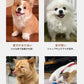 ステップ 階段 ペットステップ 犬 踏み台 2段/3段/4段 クッション スロープ ステップ ペット用 緩やかドッグステップ 撥水 スロープ犬 ペットスロープ 犬用品 室内犬 パピーヘルニア 脱臼 ケガ防止 介護用品 ウレタン