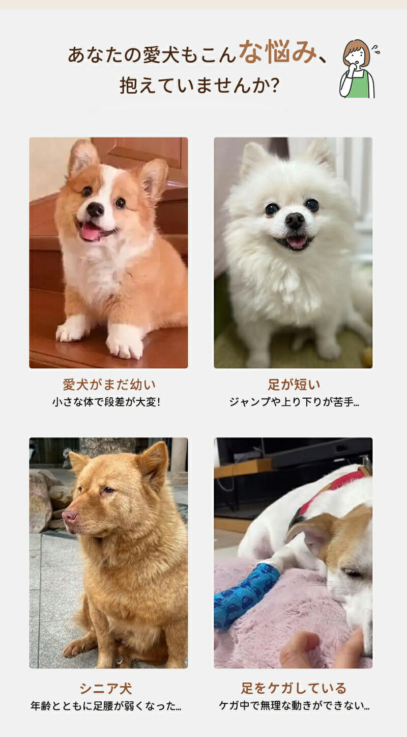 ステップ 階段 ペットステップ 犬 踏み台 2段/3段/4段 クッション スロープ ステップ ペット用 緩やかドッグステップ 撥水 スロープ犬 ペットスロープ 犬用品 室内犬 パピーヘルニア 脱臼 ケガ防止 介護用品 ウレタン