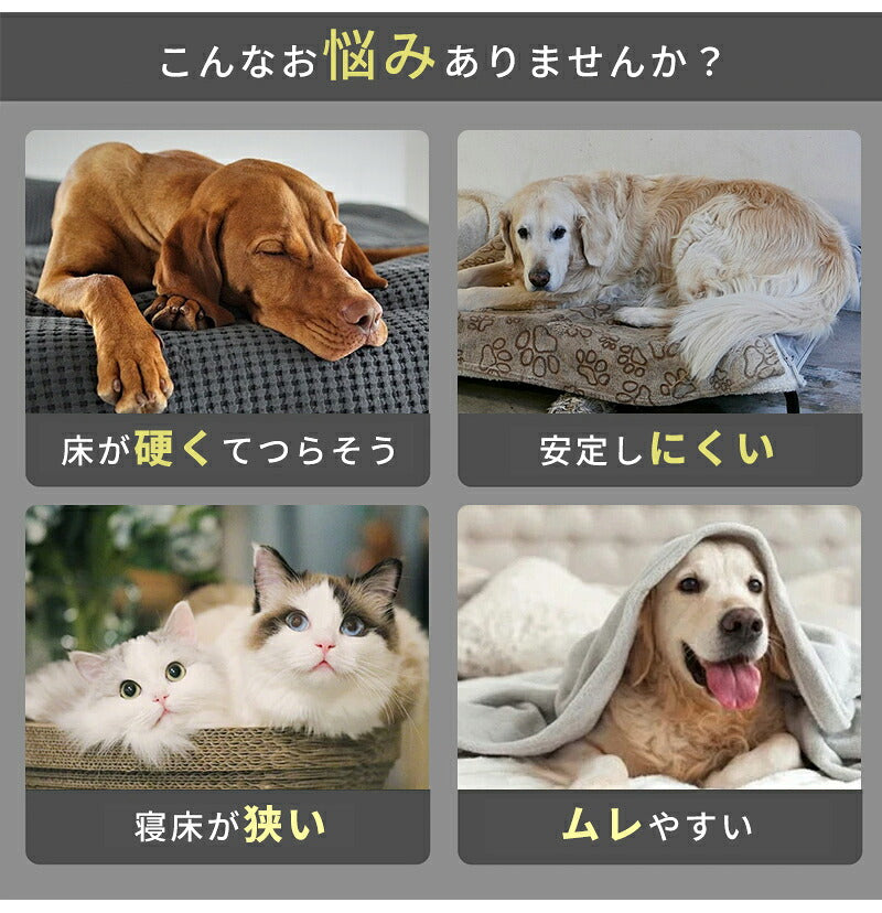ドッグコット 犬ベッド ペットベッド 犬用 犬 ベッド メッシュ 脚付き 高床式 通気性 蒸れない 洗える キャンプ 中型犬 大型犬 猫 猫ベッド ペットコット コット型 高床式ベッド 組立簡単 地面から離れ 屋内 汚れに強い 毛が付きにくい 冷感 クール ひんやり 通年 夏用 夏