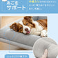 ドッグコット 犬ベッド ペットベッド 犬用 犬 ベッド メッシュ 脚付き 高床式 通気性 蒸れない 洗える キャンプ 中型犬 大型犬 猫 猫ベッド ペットコット コット型 高床式ベッド 組立簡単 地面から離れ 屋内 汚れに強い 毛が付きにくい 冷感 クール ひんやり 通年 夏用 夏