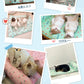あごのせペットマット犬 猫 ペットベッド 夏用 熱中症 ひんやり 洗える 夏用マット 涼しい  室内 クール クールマット ペット用 春夏 冷たい つめたい マット 冷感 犬用 猫用 ペット用品 ひんやりグッズ 熱中症対策