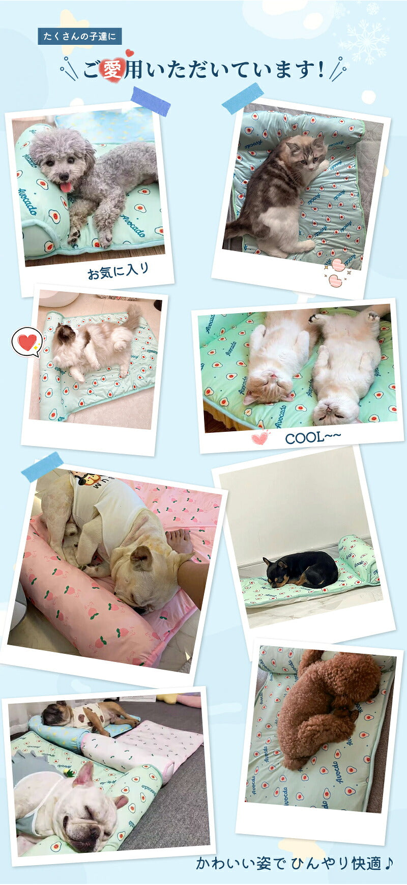 あごのせペットマット犬 猫 ペットベッド 夏用 熱中症 ひんやり 洗える 夏用マット 涼しい  室内 クール クールマット ペット用 春夏 冷たい つめたい マット 冷感 犬用 猫用 ペット用品 ひんやりグッズ 熱中症対策