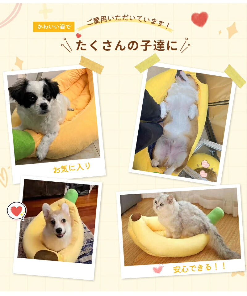 ペットベッド 夏用 バナナベッド  洗える 犬 猫 いぬ ねこ ペット オールシーズン ベッド 送料無料 ハウス 犬用ベッド 猫用ベッド ネコベッド パピー シニア 多頭飼い 子犬 子猫 あごのせ 春 夏 秋 冬 通年 寝床 小型犬 中型犬  大型犬