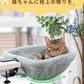 猫用ベッド ハンモック 猫 ワンタッチ折りたたみ 沈むベッド ペットベッド 洗える 送料無料 ねこ キャット 猫用 猫用品 キャットハンモック ふわふわ 折りたたみ 安定 丈夫 頑丈 取付簡単 ネコハンモック デスク用 耐荷重18kg デスクマウント オフィス 在宅勤務
