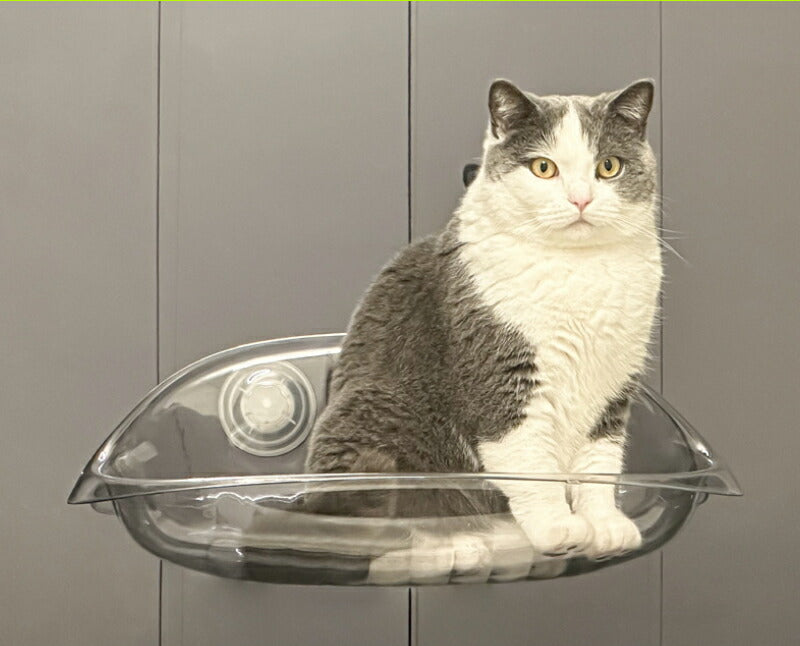 猫用ベッド ハンモック 猫 窓 吸盤 透明 ペットベッド 窓ハンモック 吊りベッド 通年 送料無料 猫用窓シート ウイドウシート 猫用 吸盤式 ストレス解消 猫用品 シースルー 日向ベッド キャットハンモック ウィンドウベッド 取付簡単 ネコハンモック 猫窓