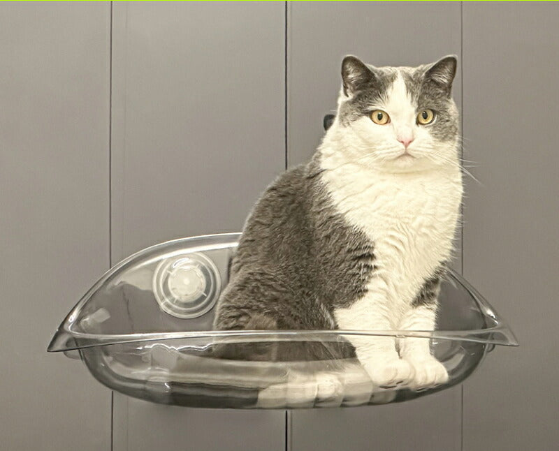 猫用ベッド ハンモック 猫 窓 吸盤 透明 ペットベッド 窓ハンモック 吊りベッド 通年 送料無料 猫用窓シート ウイドウシート 猫用 吸盤式 ストレス解消 猫用品 シースルー 日向ベッド キャットハンモック ウィンドウベッド 取付簡単 ネコハンモック 猫窓
