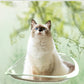 猫用ベッド ハンモック 猫 窓 吸盤 透明 ペットベッド 窓ハンモック 吊りベッド 通年 送料無料 猫用窓シート ウイドウシート 猫用 吸盤式 ストレス解消 猫用品 シースルー 日向ベッド キャットハンモック ウィンドウベッド 取付簡単 ネコハンモック 猫窓