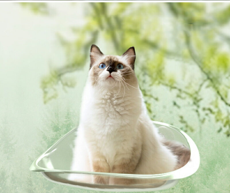 猫用ベッド ハンモック 猫 窓 吸盤 透明 ペットベッド 窓ハンモック 吊りベッド 通年 送料無料 猫用窓シート ウイドウシート 猫用 吸盤式 ストレス解消 猫用品 シースルー 日向ベッド キャットハンモック ウィンドウベッド 取付簡単 ネコハンモック 猫窓