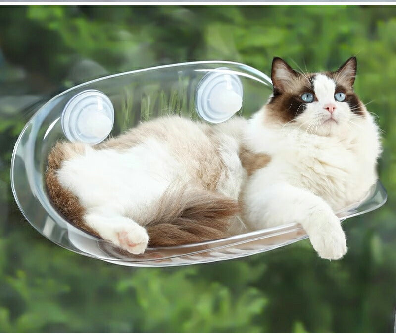 猫用ベッド ハンモック 猫 窓 吸盤 透明 ペットベッド 窓ハンモック 吊りベッド 通年 送料無料 猫用窓シート ウイドウシート 猫用 吸盤式 ストレス解消 猫用品 シースルー 日向ベッド キャットハンモック ウィンドウベッド 取付簡単 ネコハンモック 猫窓