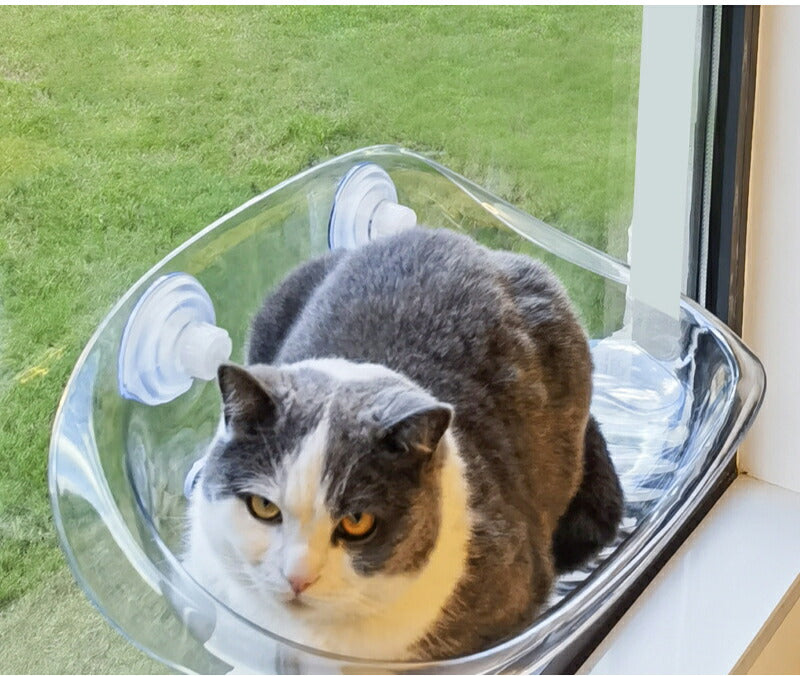 猫用ベッド ハンモック 猫 窓 吸盤 透明 ペットベッド 窓ハンモック 吊りベッド 通年 送料無料 猫用窓シート ウイドウシート 猫用 吸盤式 ストレス解消 猫用品 シースルー 日向ベッド キャットハンモック ウィンドウベッド 取付簡単 ネコハンモック 猫窓