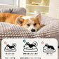 ペットベッド 犬 ペット 猫 ソファーベッド カバーを外して洗える ベット ペットソファー ペットソファー 犬ベット ペットソファー 犬用ベッド 猫用ベッド クッション オールシーズン 犬 猫 ペット用 グッズ 犬用 猫用 冬用 滑り止め 送料無料