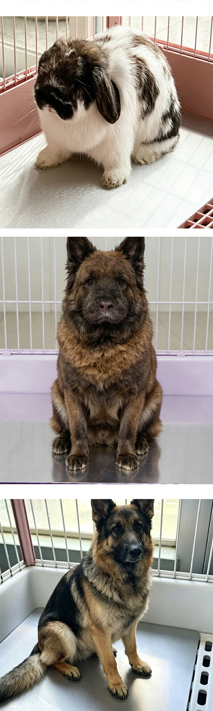 プレート アルミ ひんやりマット ペット 猫 犬 熱中症対策 アルミプレート ねこ 冷たい 冷感マット 猫用 冷却マット 犬用マット クールマット 暑さ対策 夏 クール ペットマット 猫ひんやりマット 小型犬 ネコ ネコ用  ペット用品