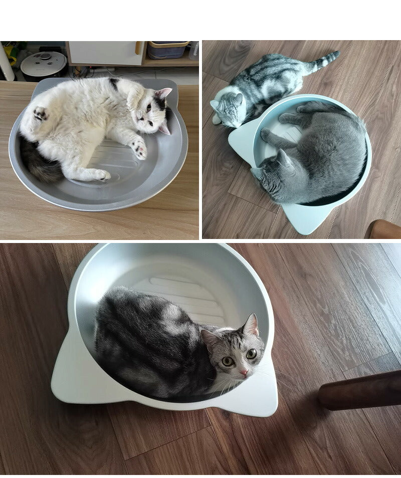 ネコベッド アルミ ベッド 猫 ひんやりベッド 猫鍋 犬 ねこ ひんやり 冷感 夏用 暑さ対策 M/L ジャンボサイズ クール たらい かわいい おしゃれ ねこ グッズ 猫顔型 猫ベッド ねこ鍋 ねこなべ 猫耳 ペットベッド ペット ペット用品 鍋