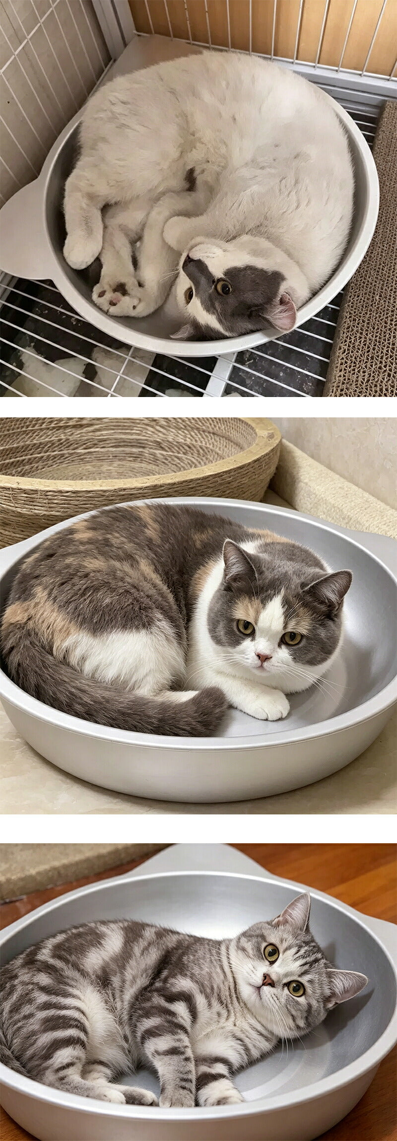 ネコベッド アルミ ベッド 猫 ひんやりベッド 猫鍋 犬 ねこ ひんやり 冷感 夏用 暑さ対策 M/L ジャンボサイズ クール たらい かわいい おしゃれ ねこ グッズ 猫顔型 猫ベッド ねこ鍋 ねこなべ 猫耳 ペットベッド ペット ペット用品 鍋