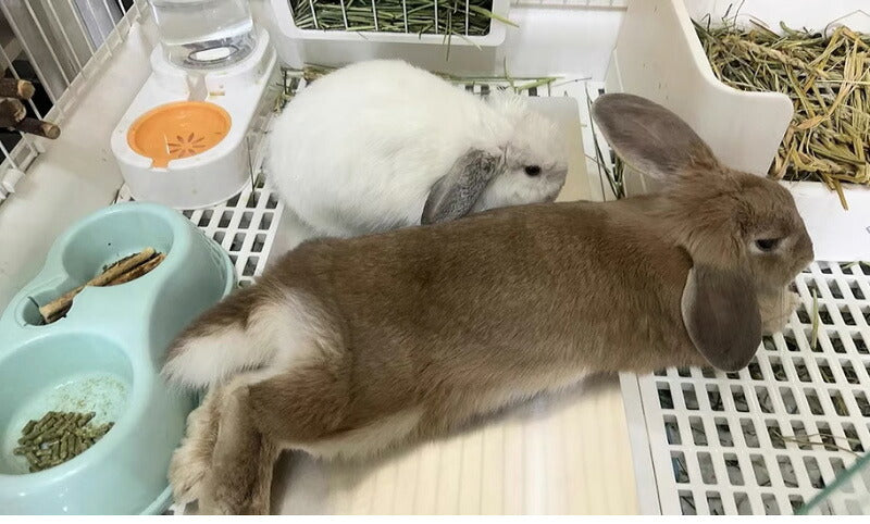 プレート アルミ ひんやりマット ペット 猫 犬 熱中症対策 小動物 アルミプレートうさぎ ハムスター アイスベッド 冷たい 冷感マット 冷却マット クールマット 暑さ対策 夏 クール ペットマット ネコ ハリネズミペット用品 ペットマット