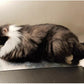 プレート アルミ ひんやりマット ペット 猫 犬 熱中症対策 小動物 アルミプレートうさぎ ハムスター アイスベッド 冷たい 冷感マット 冷却マット クールマット 暑さ対策 夏 クール ペットマット ネコ ハリネズミペット用品 ペットマット