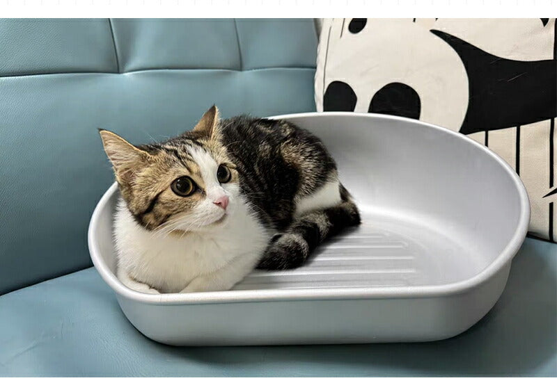 ネコベッド アルミ ベッド 猫 ひんやりベッド 猫鍋 犬 ねこ ひんやり 冷感 夏用 暑さ対策 ジャンボサイズ クール たらい かわいい おしゃれ ねこ グッズ 猫顔型 猫ベッド ねこ鍋 ねこなべ 猫耳 ペットベッド ペット ペット用品 鍋 犬