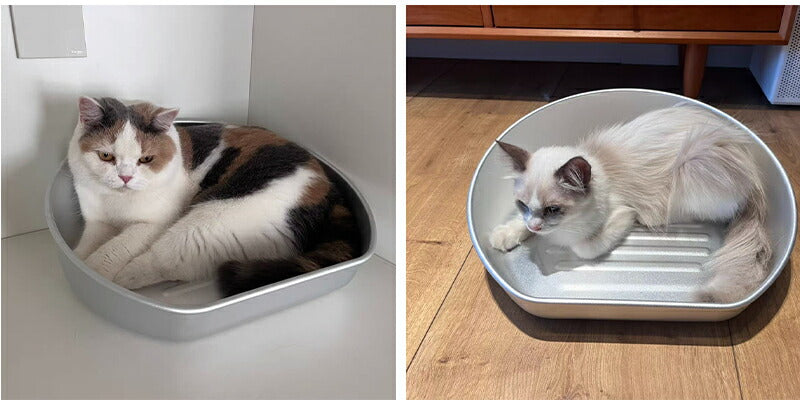 ネコベッド アルミ ベッド 猫 ひんやりベッド 猫鍋 犬 ねこ ひんやり 冷感 夏用 暑さ対策 ジャンボサイズ クール たらい かわいい おしゃれ ねこ グッズ 猫顔型 猫ベッド ねこ鍋 ねこなべ 猫耳 ペットベッド ペット ペット用品 鍋 犬