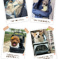 ペットカート 軽量 分離式 犬カート 中型犬 Wタイヤ 安定 2匹 軽快走行 4輪ペットカート 対面式 ペット キャリー 犬用バギー 折りたたみ式 カート 介護用 多頭 小型犬 猫 多機能 犬用ベビーカー  犬キャリー バギー 組み立て簡単 耐荷重20KG