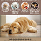 犬 おもちゃ 音が鳴る 音が出るぬいぐるみ ペット玩具 ストレス発散 分離不安 ペットぬいぐるみ ロープ コットン ふわふわ 動物 ヒツジ イヌ ブタ アヒル 柔らかい 頑丈 噛む 癒し系 丈夫 洗える 睡眠補助 安眠枕 抱き枕 室内遊び ペット 小型犬 中型犬 大型犬 ペット用品