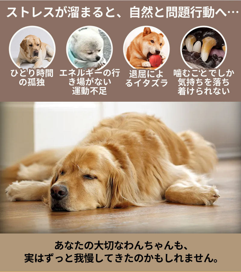 犬 おもちゃ 音が鳴る 音が出るぬいぐるみ ペット玩具 ストレス発散 分離不安 ペットぬいぐるみ ロープ コットン ふわふわ 動物 ヒツジ イヌ ブタ アヒル 柔らかい 頑丈 噛む 癒し系 丈夫 洗える 睡眠補助 安眠枕 抱き枕 室内遊び ペット 小型犬 中型犬 大型犬 ペット用品