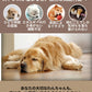 犬 おもちゃ 音が鳴る 音が出るぬいぐるみ ペット玩具 ストレス発散 分離不安 ペットぬいぐるみ ロープ コットン ふわふわ 動物 ヒツジ イヌ ブタ アヒル 柔らかい 頑丈 噛む 癒し系 丈夫 洗える 睡眠補助 安眠枕 抱き枕 室内遊び ペット 小型犬 中型犬 大型犬 ペット用品