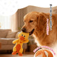 犬 おもちゃ 音が鳴る 音が出るぬいぐるみ ペット玩具 ストレス発散 分離不安 ペットぬいぐるみ ロープ コットン ふわふわ 動物 ヒツジ イヌ ブタ アヒル 柔らかい 頑丈 噛む 癒し系 丈夫 洗える 睡眠補助 安眠枕 抱き枕 室内遊び ペット 小型犬 中型犬 大型犬 ペット用品