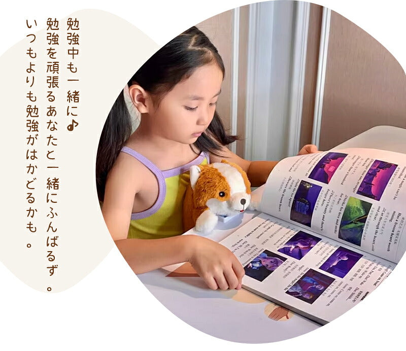 ぬいぐるみ 猫背矯正 かわいい 姿勢改善 姿勢 猫背   疲れ軽減 サポート デスク オフィス 学校 背筋 デスクワーク どうぶつ  塾 机 お腹 おなか 挟む はさむ クッション もふもふ 癒し