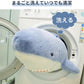ぬいぐるみ 赤ちゃん サメ 鮫 さめ シャーク 魚 サメぬいぐるみ クジラ 大きい 子供 キッズ おもちゃ だきまくら クッション 枕 まくら柔らかい 可愛い 縫い包み ふかふか 抱き枕 インテリア ギフト お祝い 贈り物 クリスマス  女の子 誕生日 プレゼント