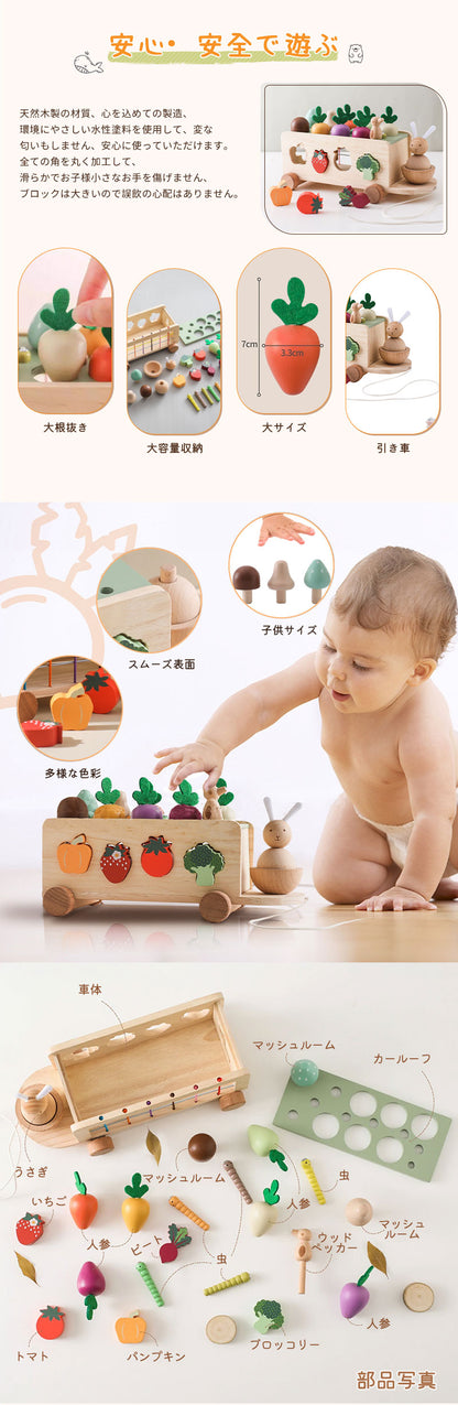 型はめ おもちゃ 立体パズル 形合わせ はめ込み はめ込みパズル 押し車 モンテソッリー 積み木 木製の車おもちゃ 子供 1歳 2歳 3歳 赤ちゃん 形状認識 知育玩具 入園お祝い 車 型はめパズル 出産祝い